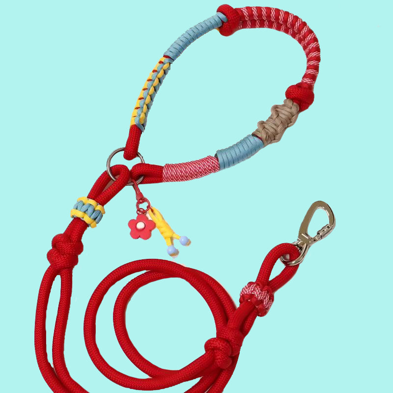Pet Leash