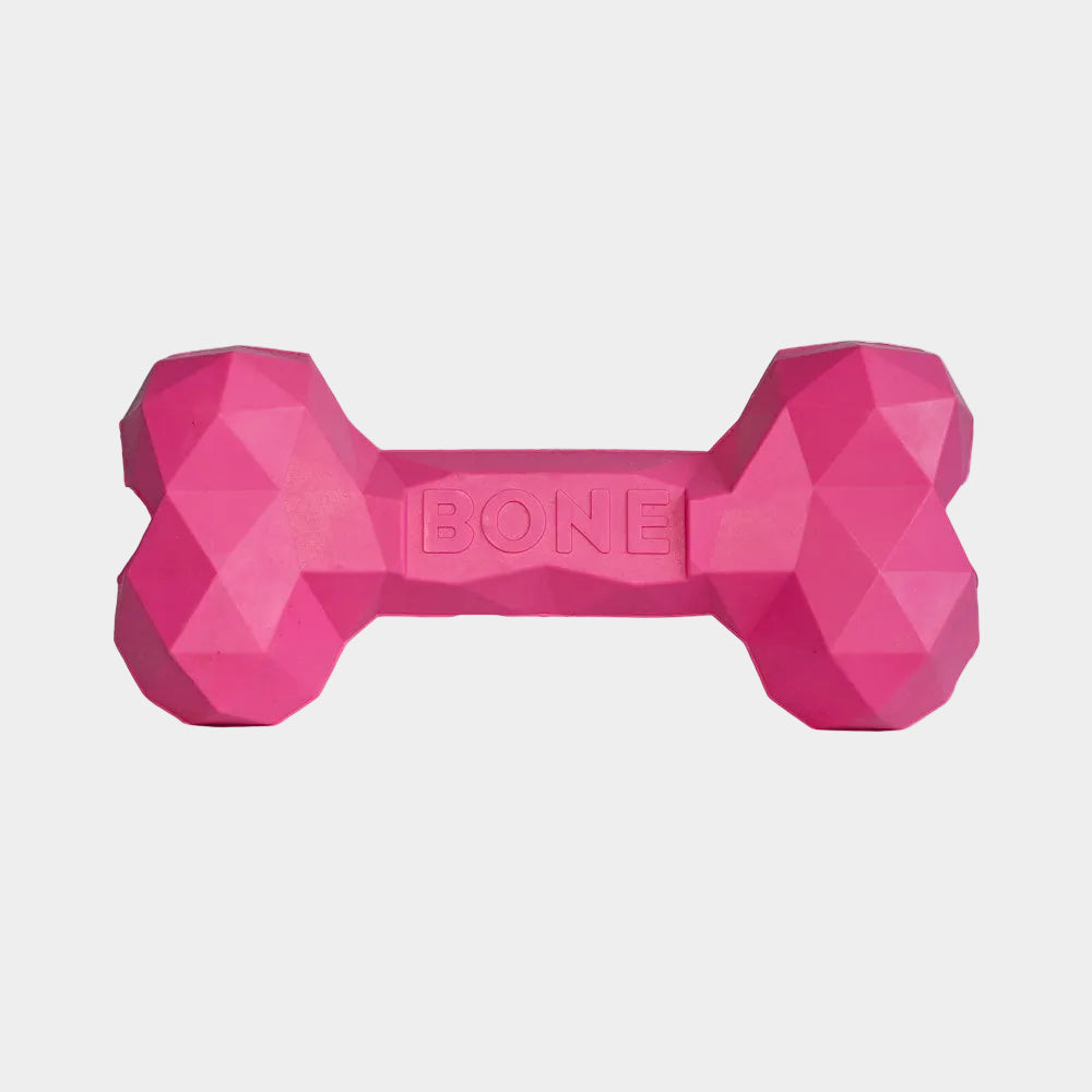 Durable Rubber Bone Dog Toy for Aggressive Chewers, Interactive Teething Chew Toy for Small Medium Breeds