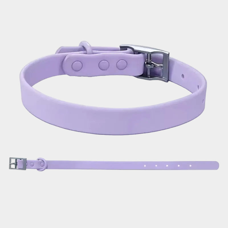 Non-toxic Waterproof Adjustable Dog Collar with Cute Silicone Letters